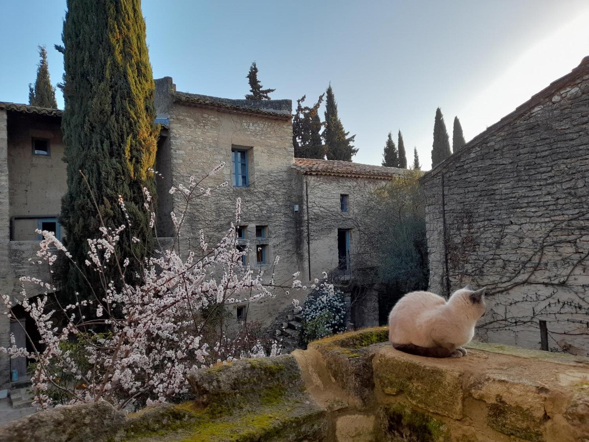 Le Mas Du Lac Bed and Breakfast Uzès Esterno foto