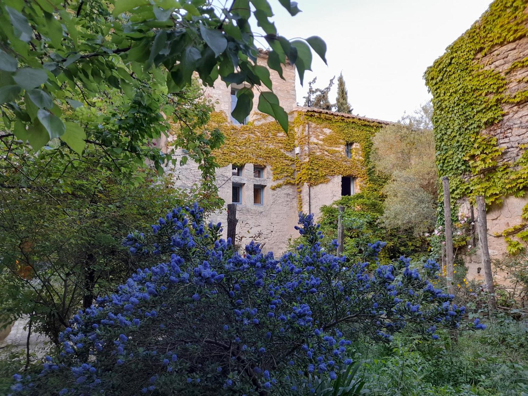 Le Mas Du Lac Bed and Breakfast Uzès Esterno foto