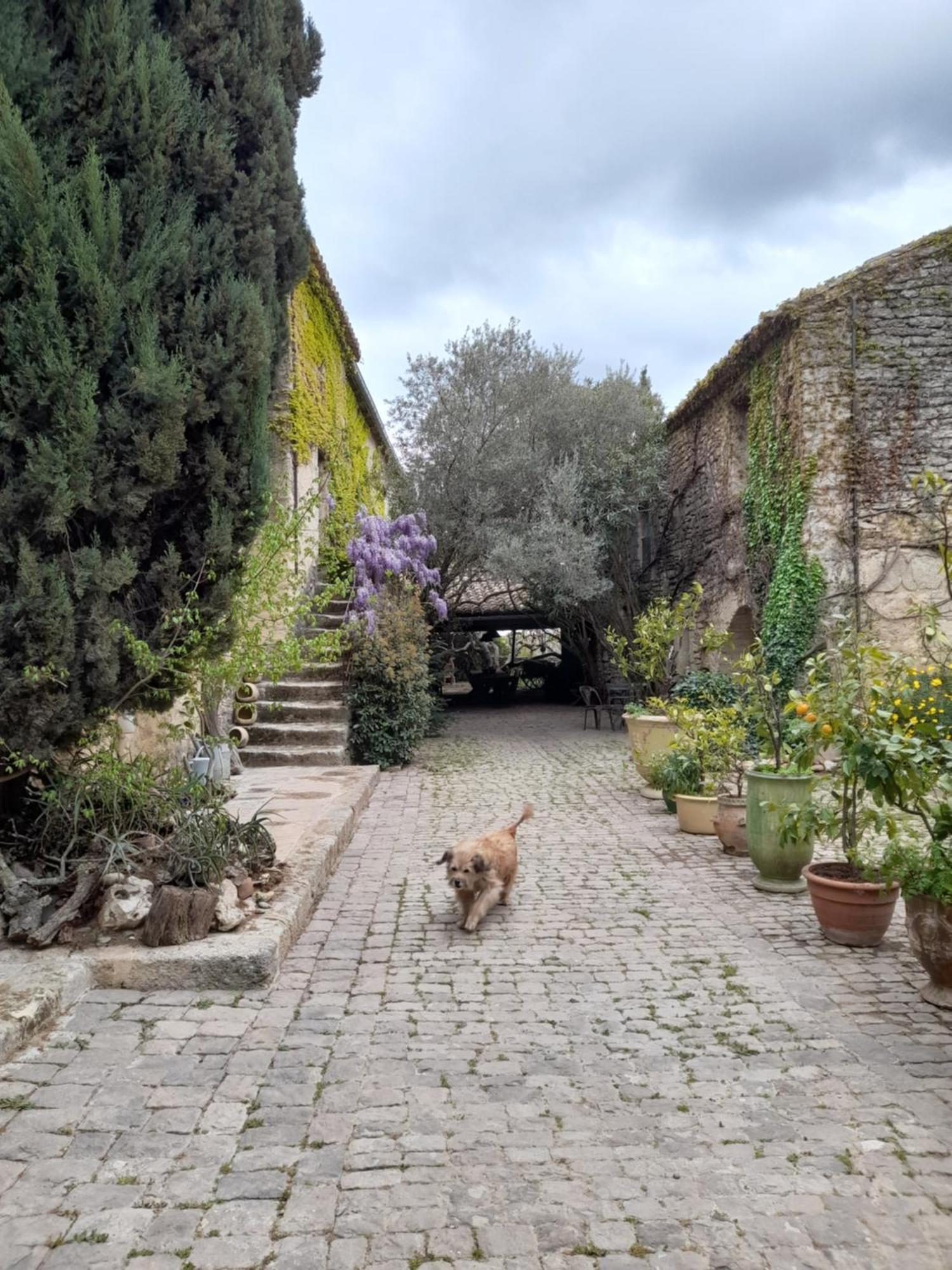 Le Mas Du Lac Bed and Breakfast Uzès Esterno foto