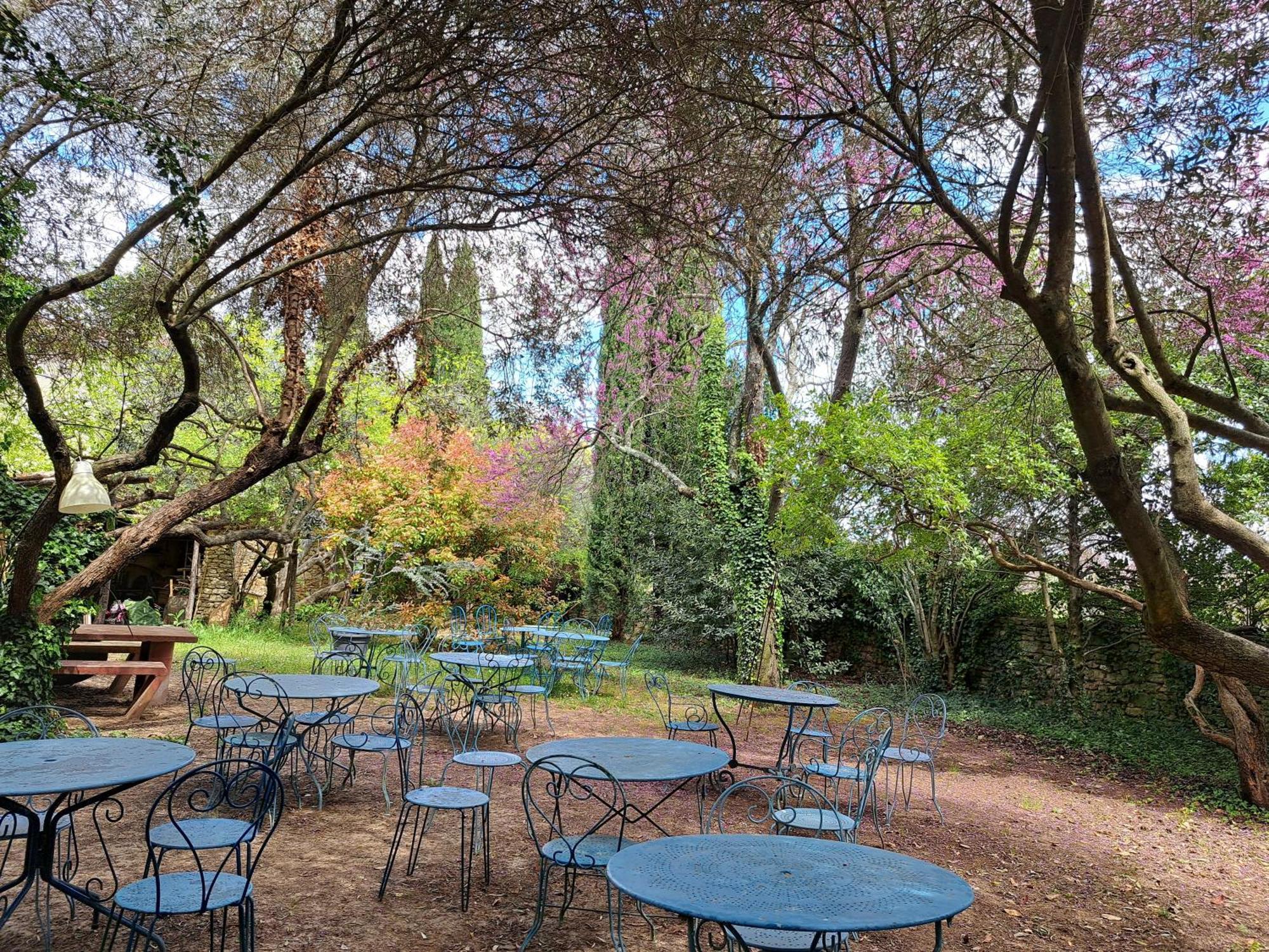 Le Mas Du Lac Uzès Esterno foto